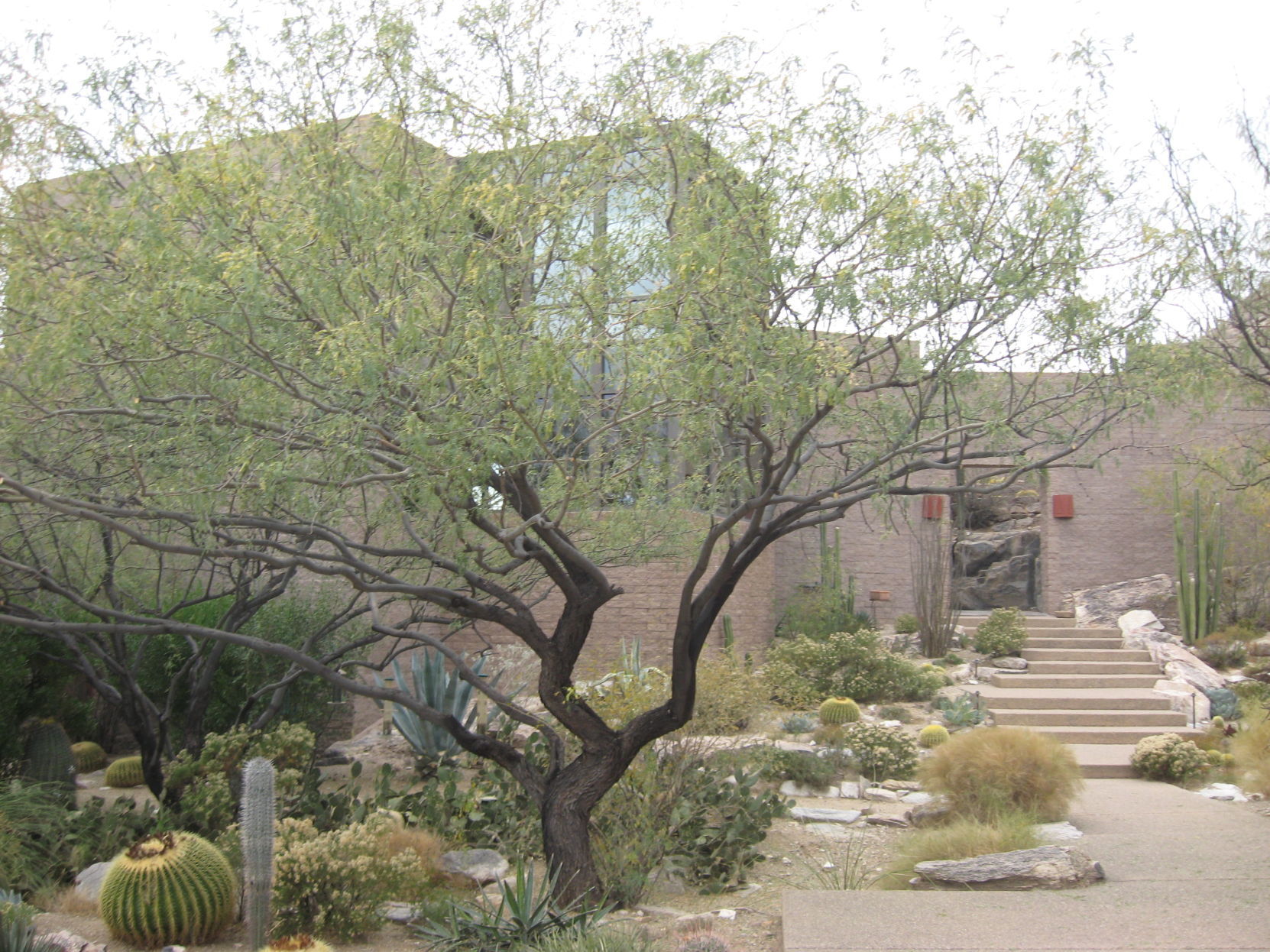7300 E. Stone Canyon Drive, Tucson 85750